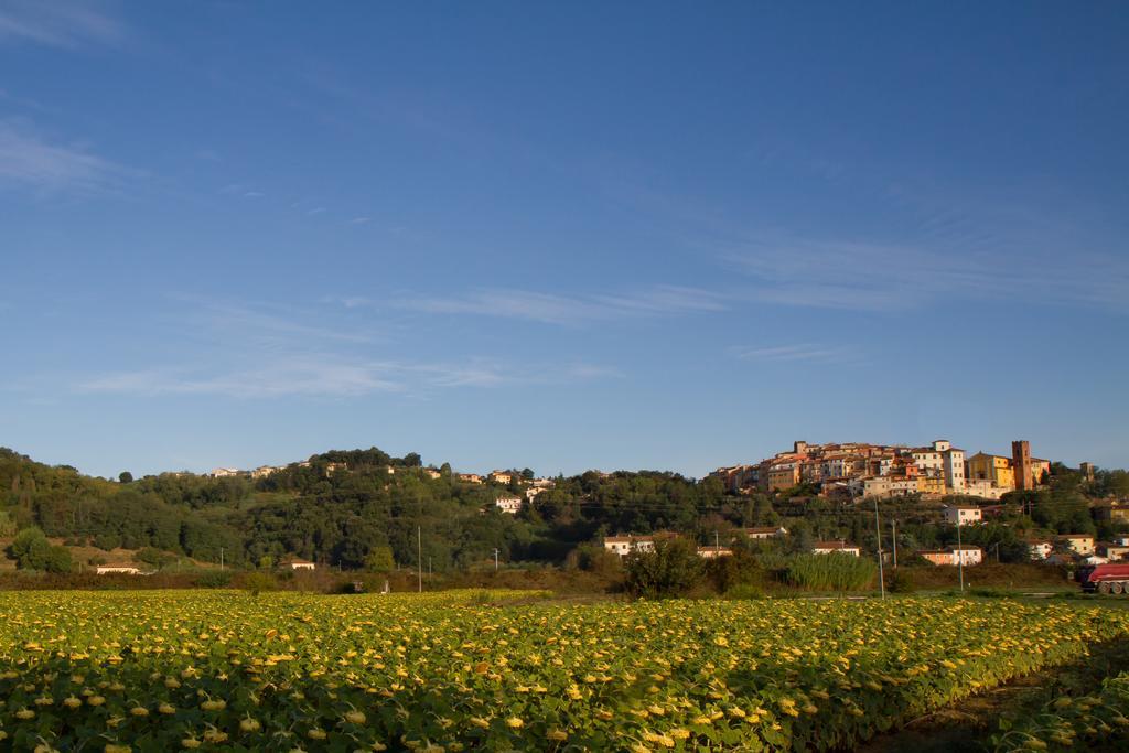 B&B Il Ramaiolo Santa Maria a Monte Εξωτερικό φωτογραφία