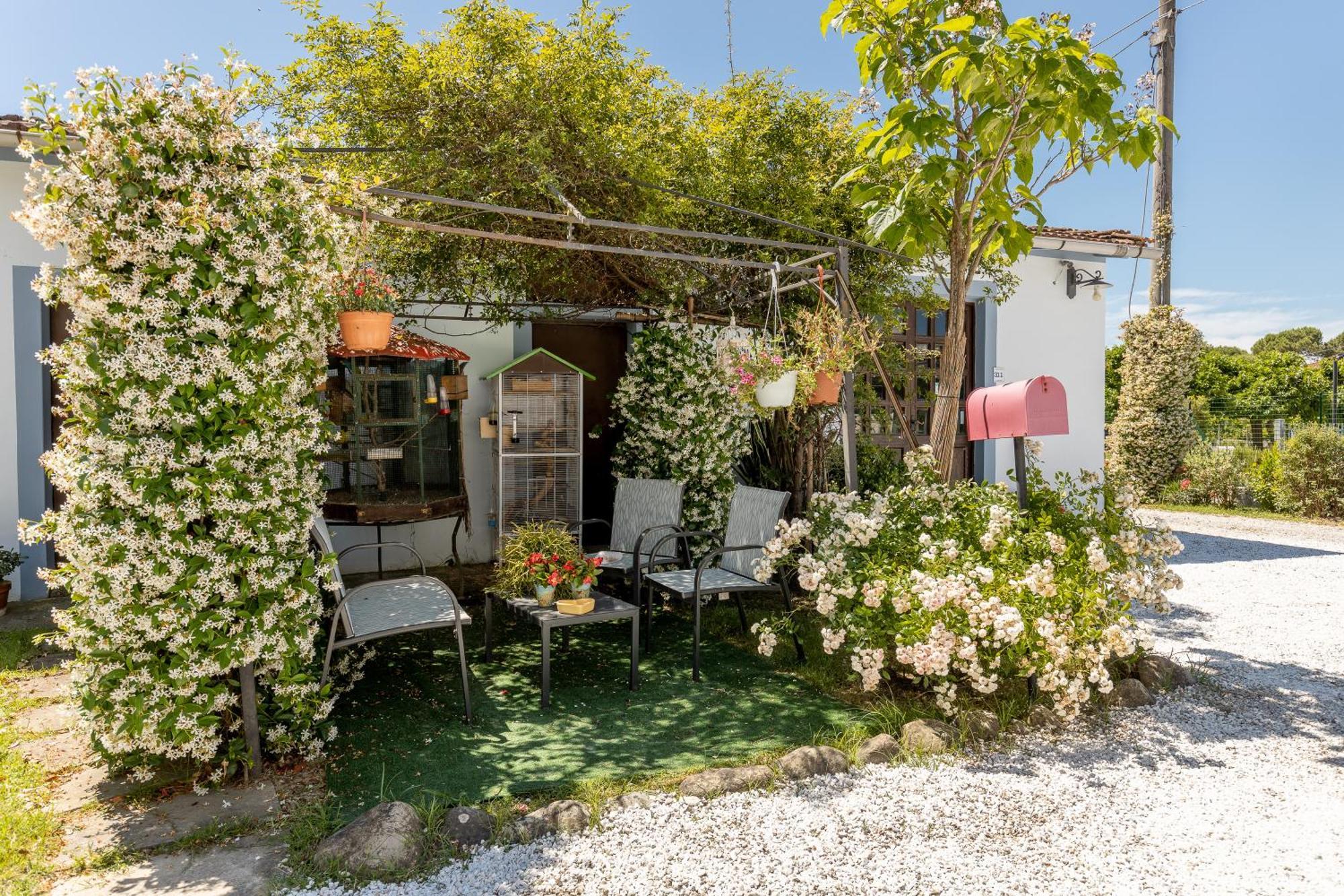 B&B Il Ramaiolo Santa Maria a Monte Εξωτερικό φωτογραφία