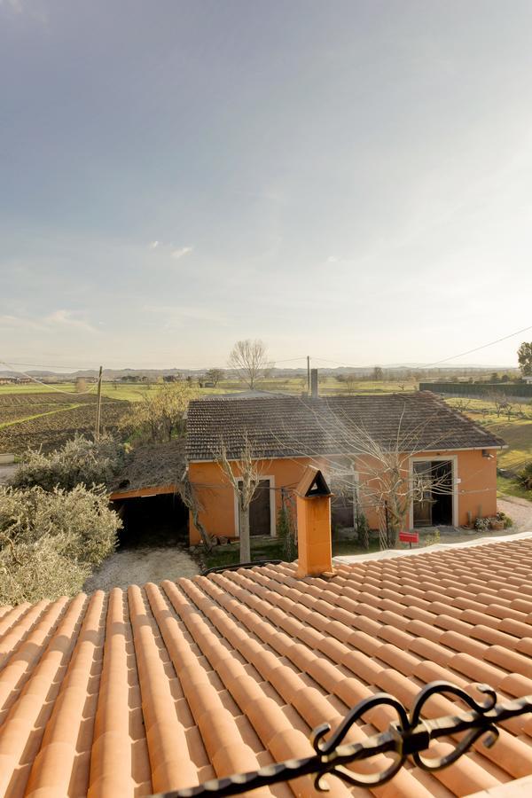 B&B Il Ramaiolo Santa Maria a Monte Εξωτερικό φωτογραφία
